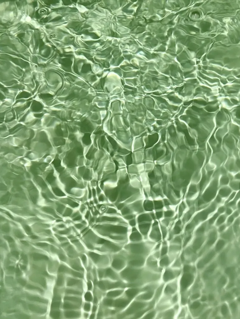 Sel vert boisé.webp