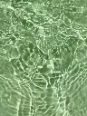 Sel vert boisé.webp